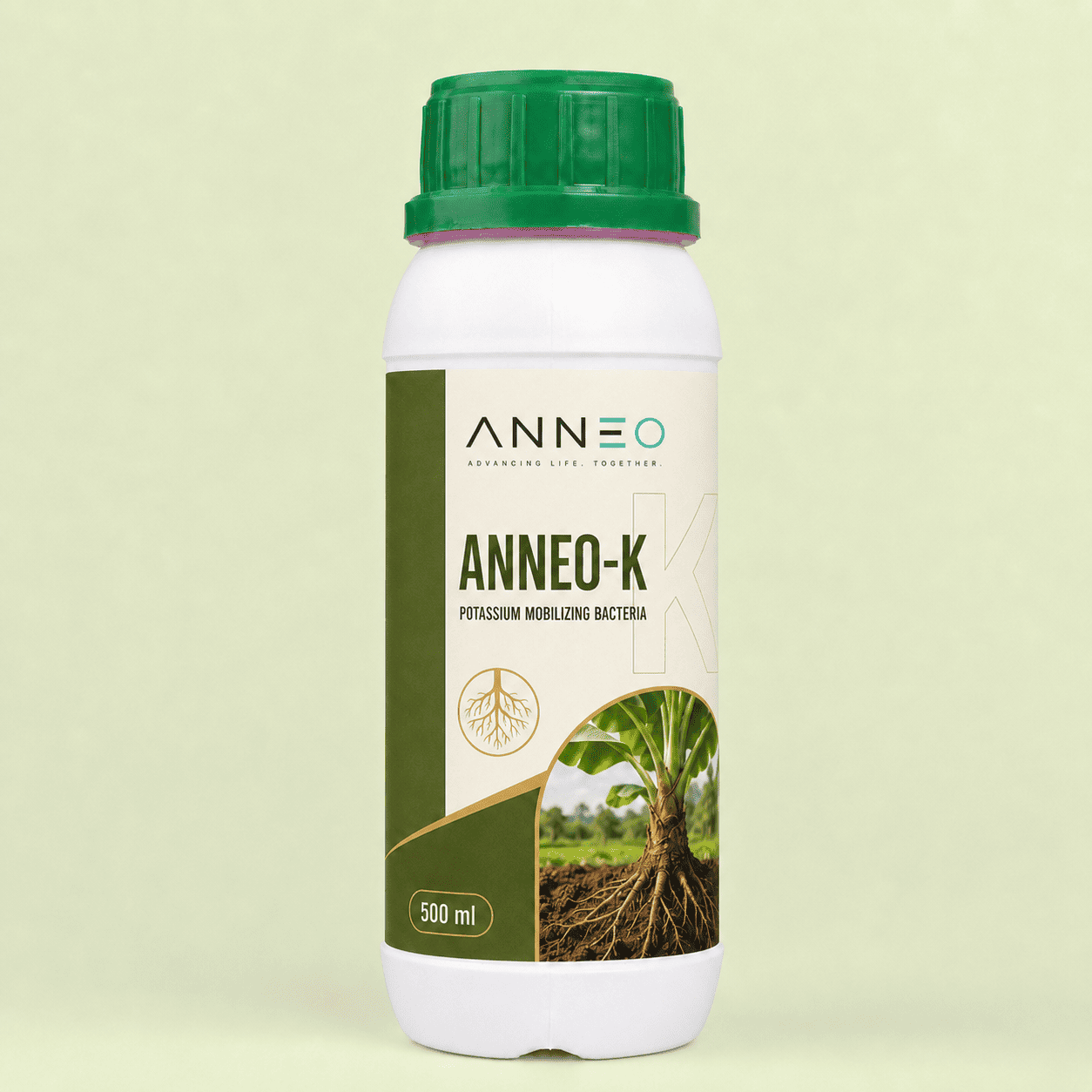 Anneo K KMB